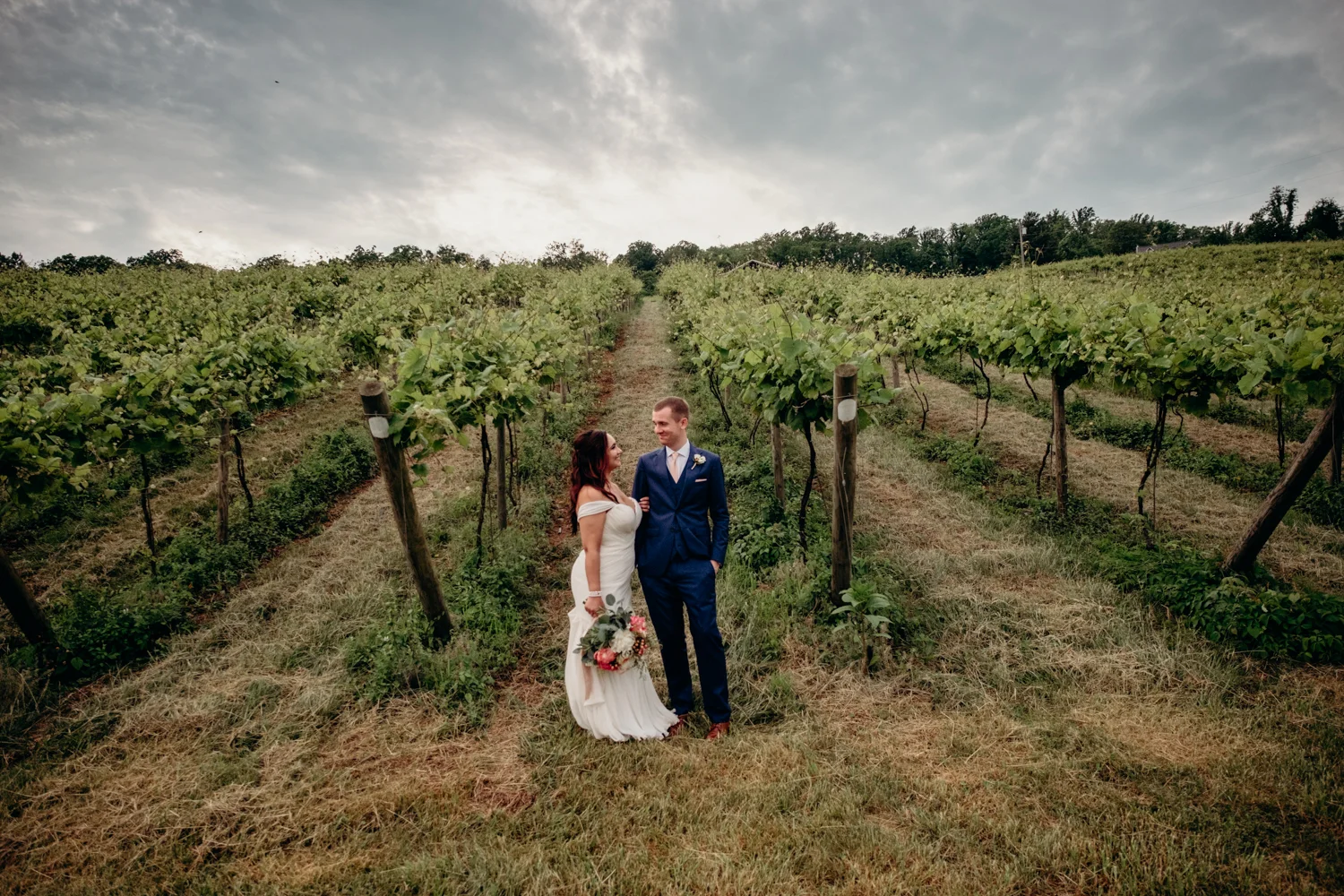 bluemont winery wedding couple in the vines in loudoun county