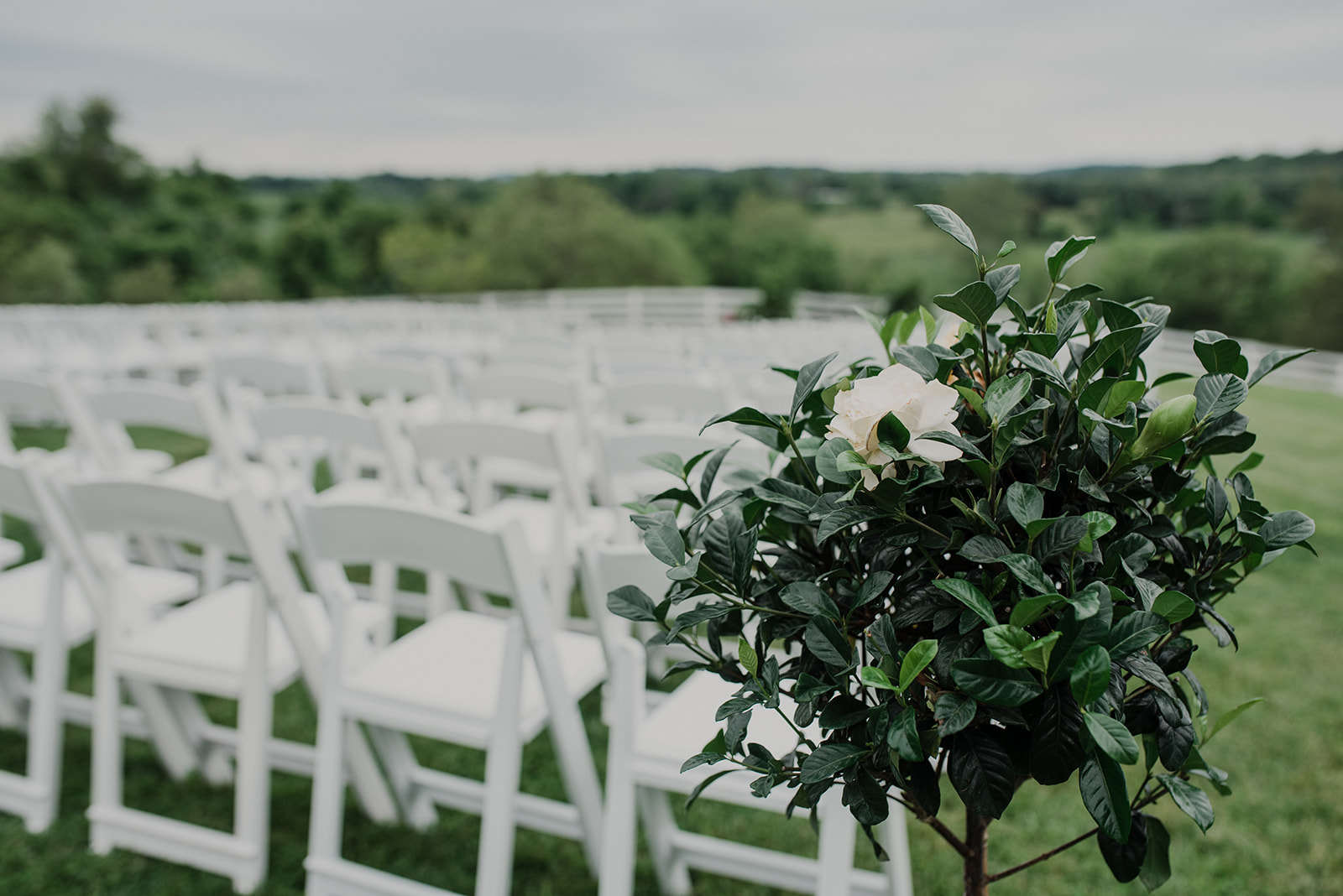 A short tree sits next to the chairs set up for an outdoor spring ceremony at Blue Hill Farm in Waterford, VA. 