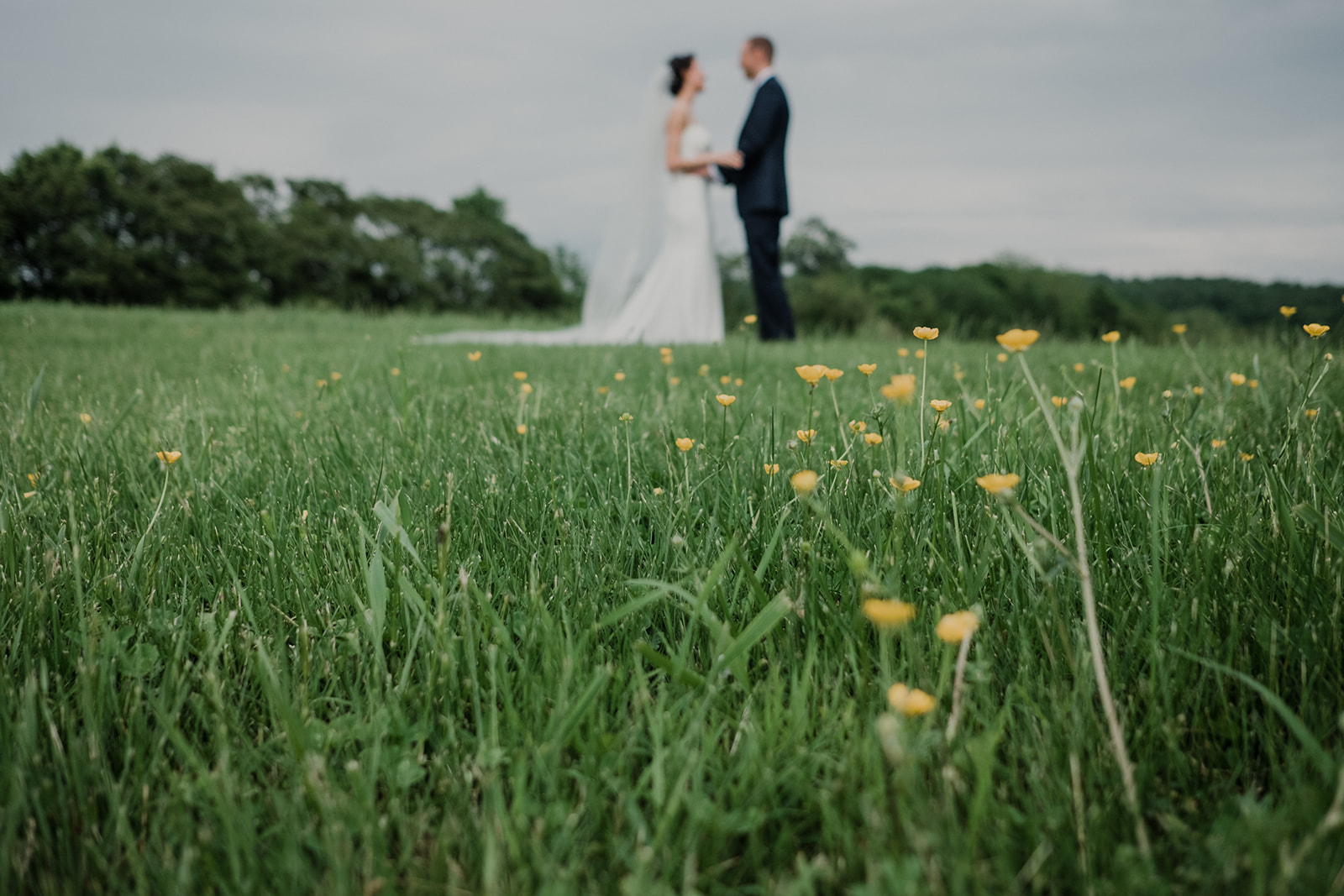 Little yellow buttercup flowers adorn the grassy field that the bride and groom are standing in during their first look before their outdoor wedding ceremony at Blue Hill Farm in Waterford, VA.
