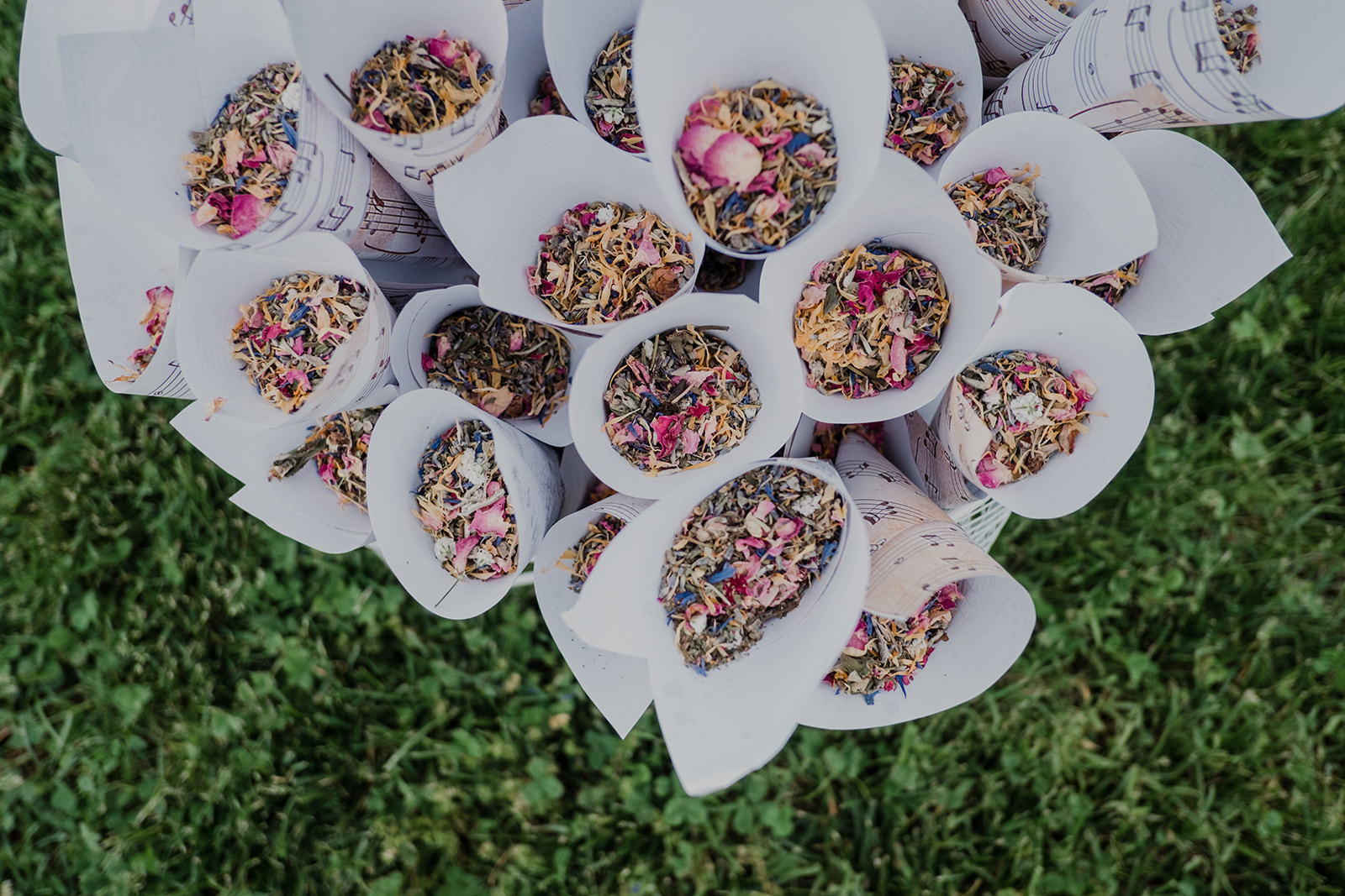 Cones filled with flower petals are ready for guests to toss at the bride and groom after their outdoor wedding ceremony at Blue Hill Farm in Waterford, VA.