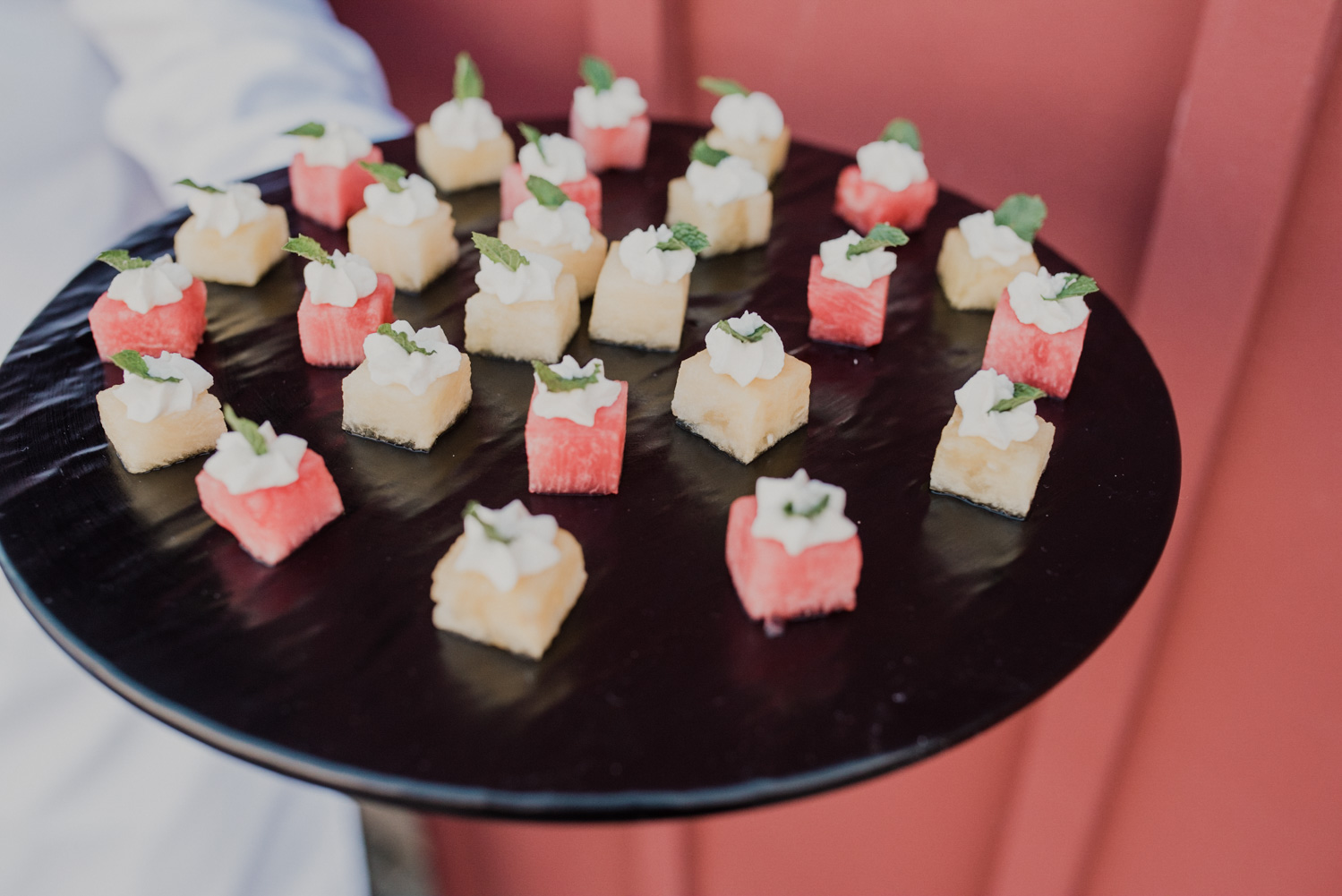 Gourmet by the Bay cocktail hour appetizers for guests