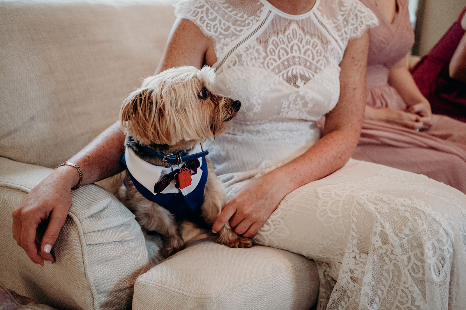 A ring bearing pup sits next to the bride before walking down the aisle at Birkby House in Leesburg, VA.