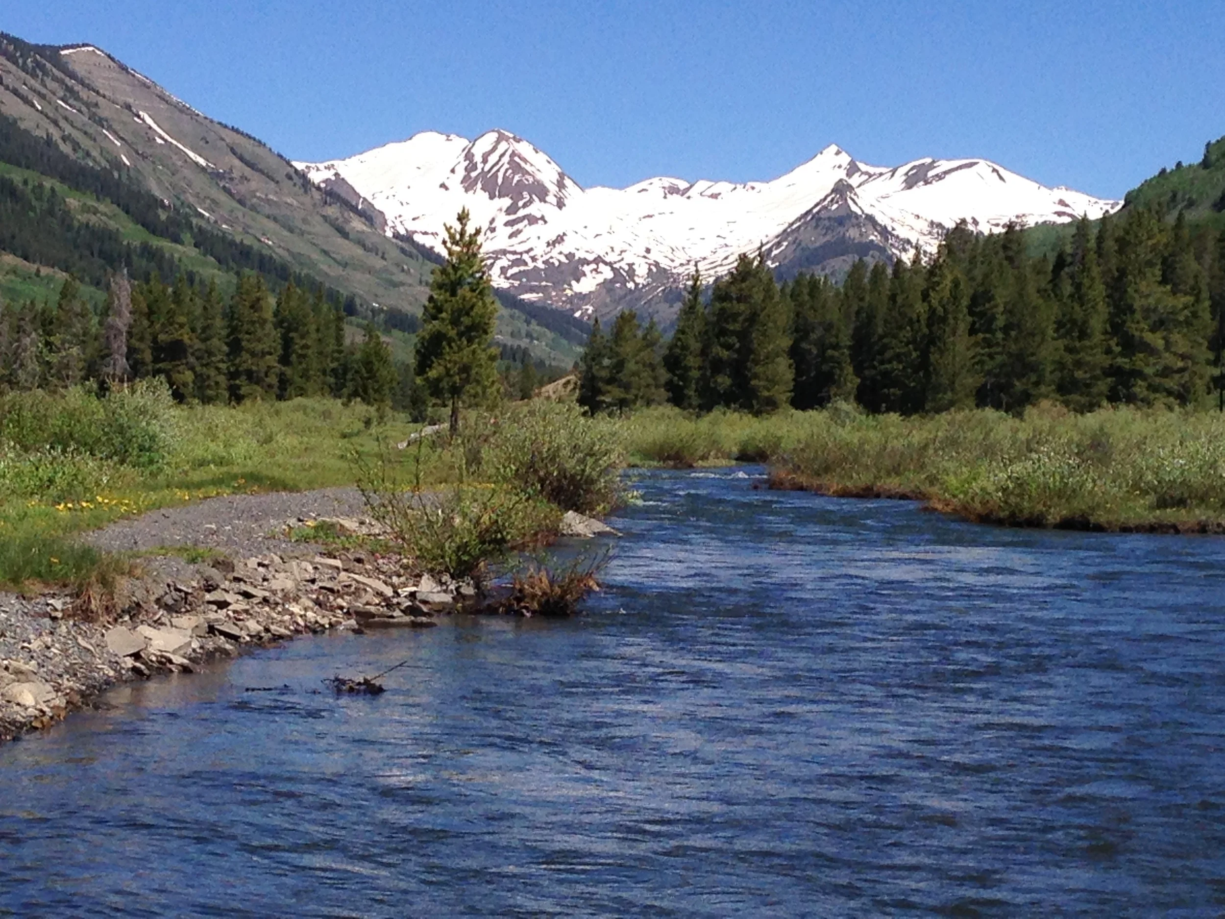 Jeff Fox Intro Video