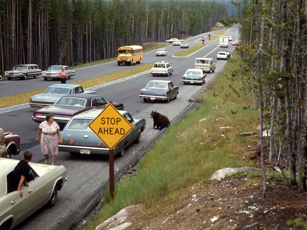 images%2Fslides%2Fyellowstone_01.jpg