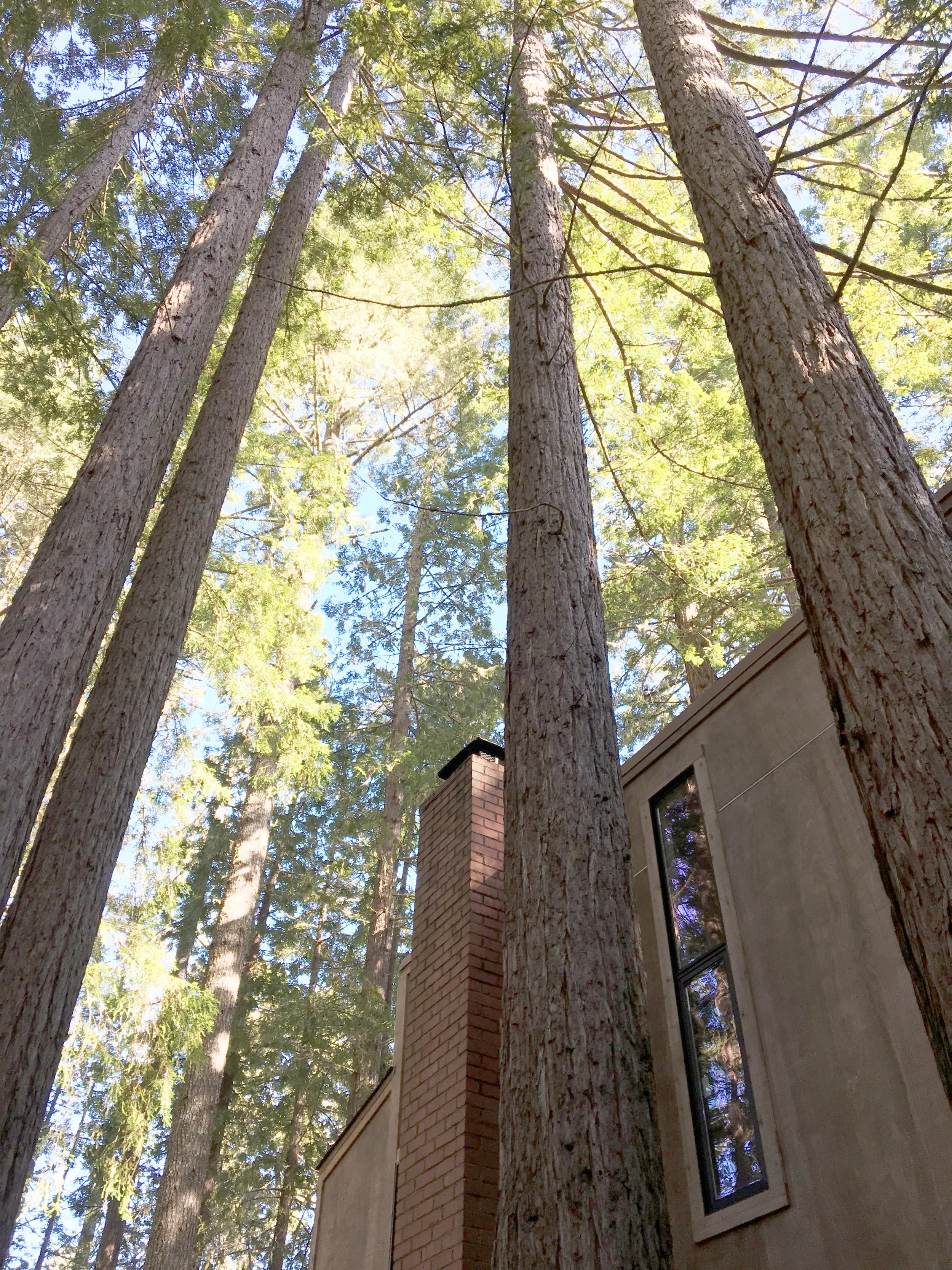 35255 Timber Ridge Rd., The Sea Ranch