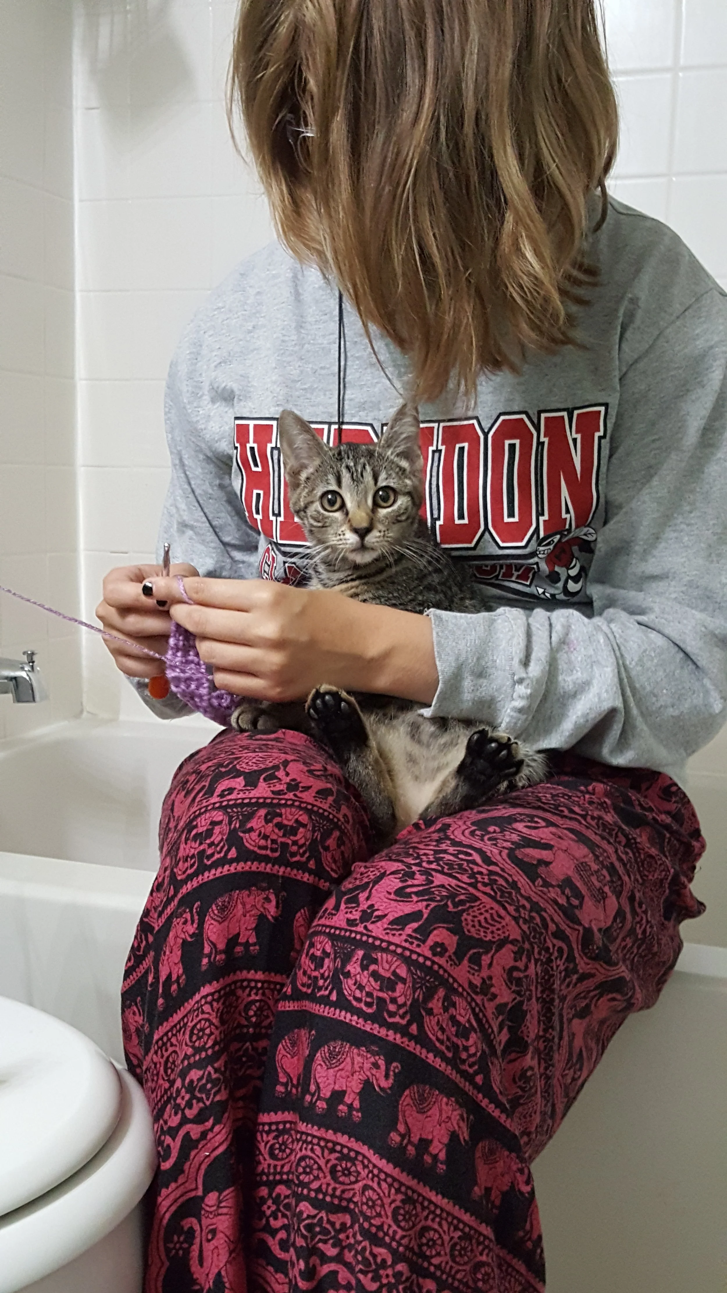 Teaching a kitten to crochet 😂