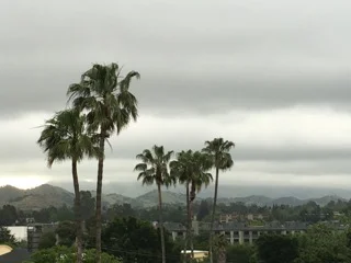 A Beautiful View from a Lousy Apartment