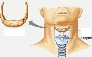 www.studyblue.com