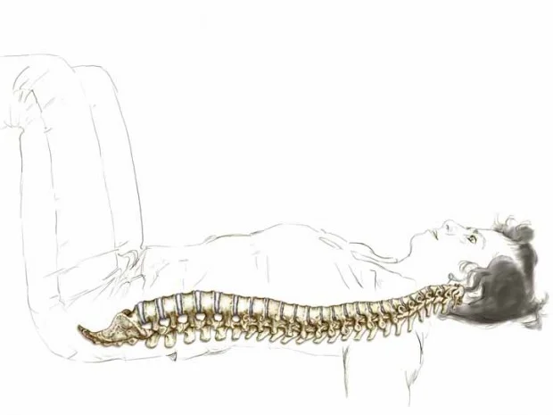 Enliven Your Spine, Part 2