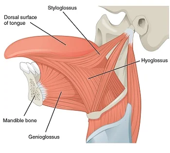 cf489ce3-50e1-42b0-a3af-bf009f5b679d_extrinsic.jpg