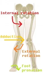 Typical valgus pattern