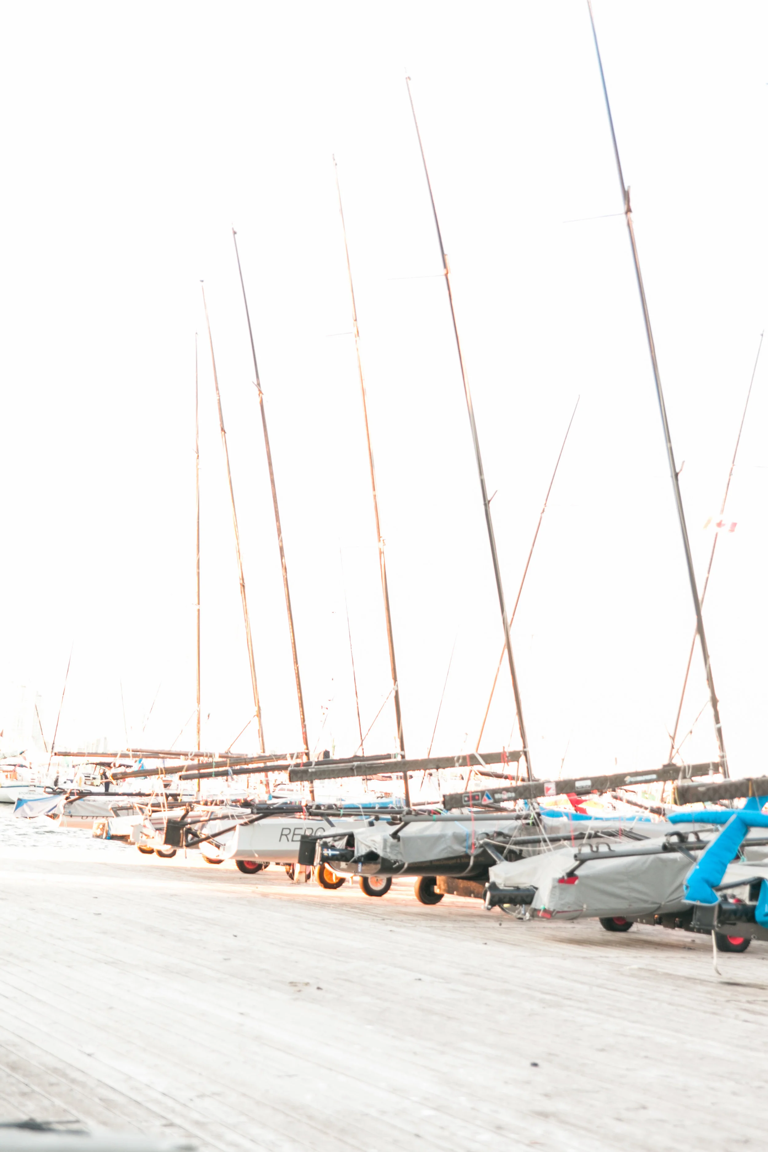 Sailboats in Toronto