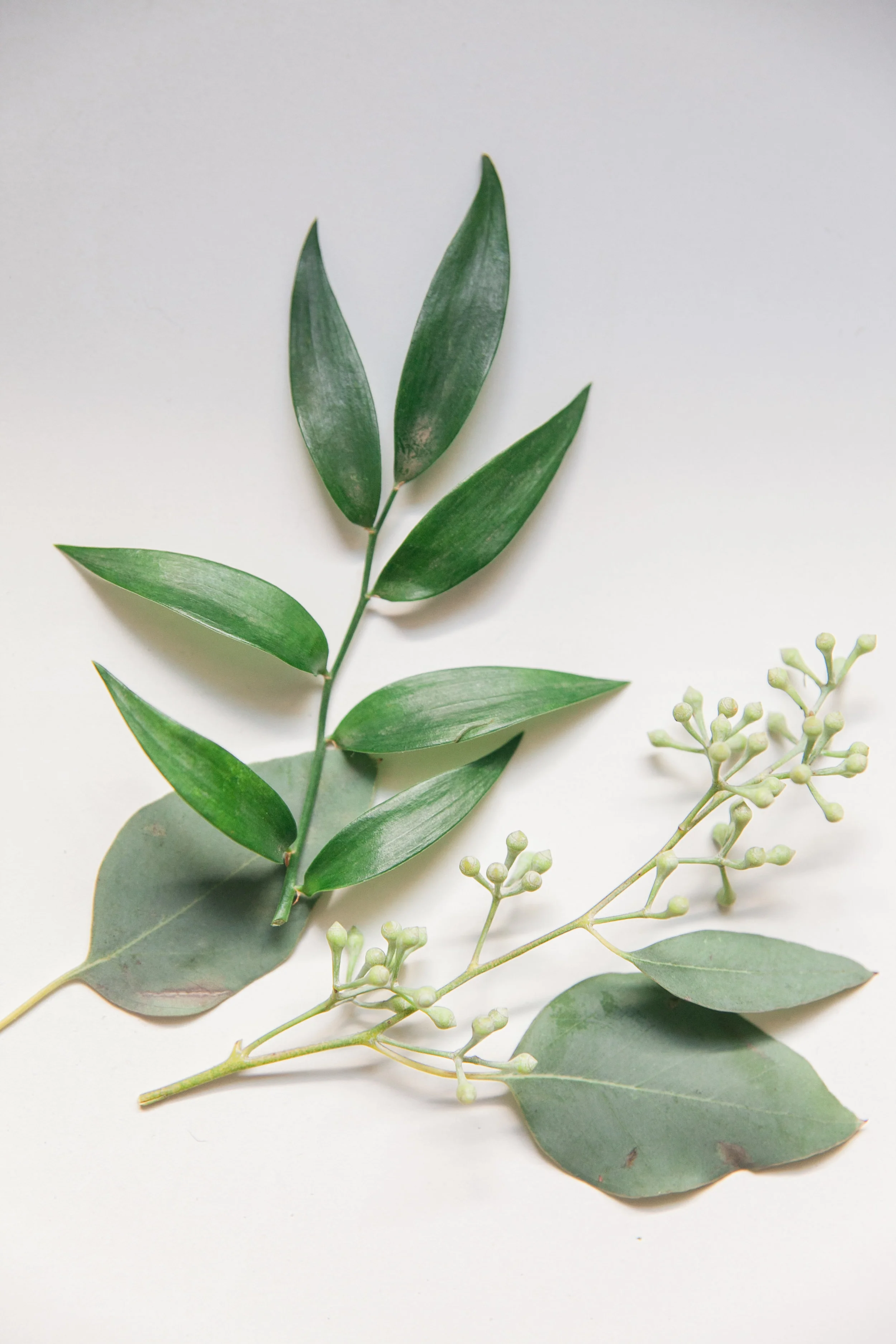 Leaves from bride's bouquet 