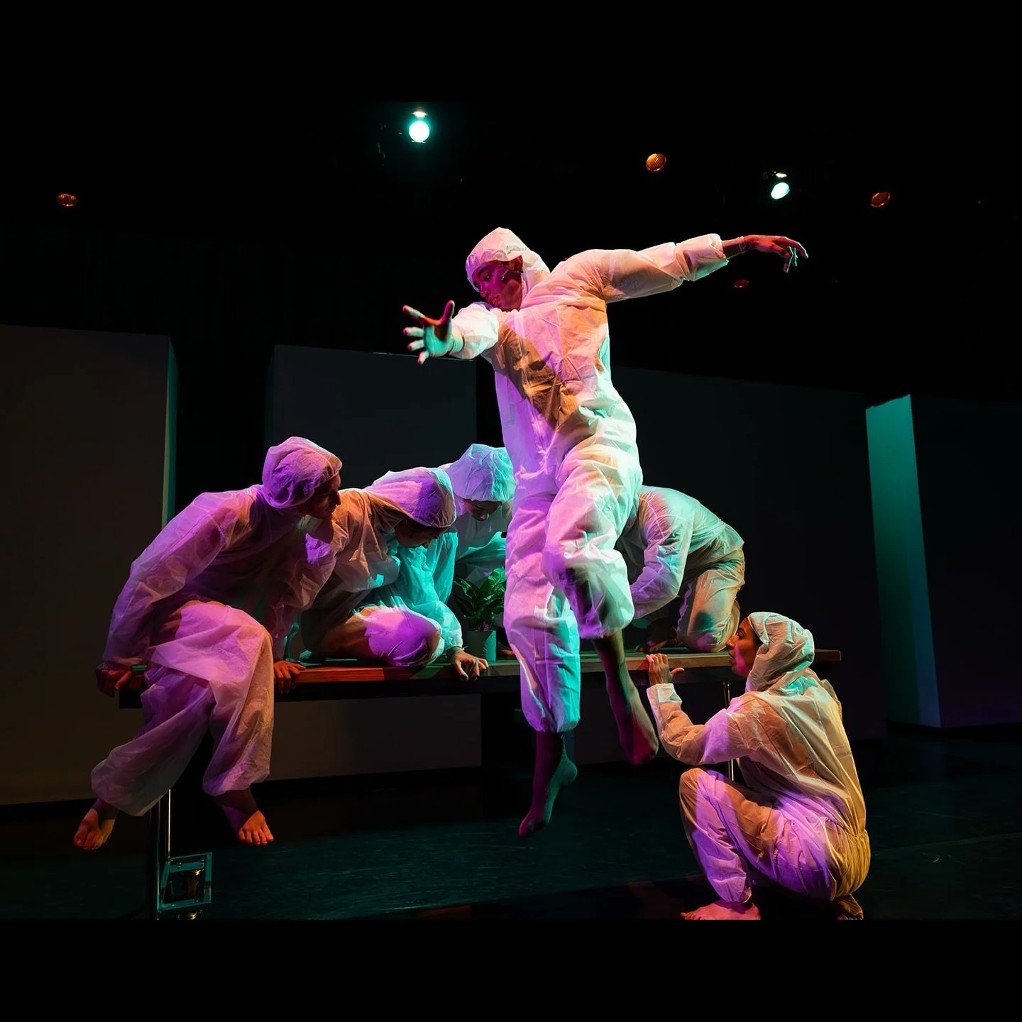 OPENING ROCKED. JUST TWO CHANCES LEFT TODAY - ! 4pm and 7:30pm ! Thank you to our roaring, sold-out opening night audience. Some photos from our final dress rehearsal @bysarahannie
 Don&rsquo;t miss out.  Tickets &gt;&gt;&gt; performadance.org

ANTHR