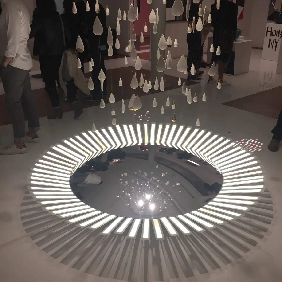 Blackbody OLED Showroom