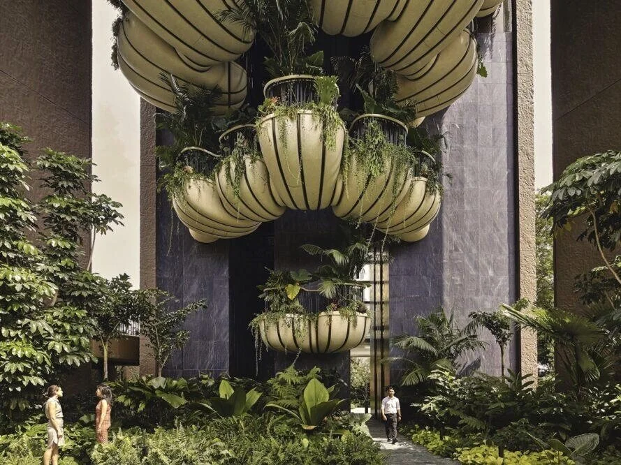 Nature Inside And Out