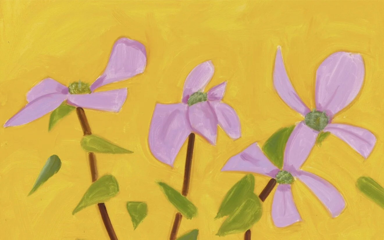 Kaleidoscope Of Possibilities 