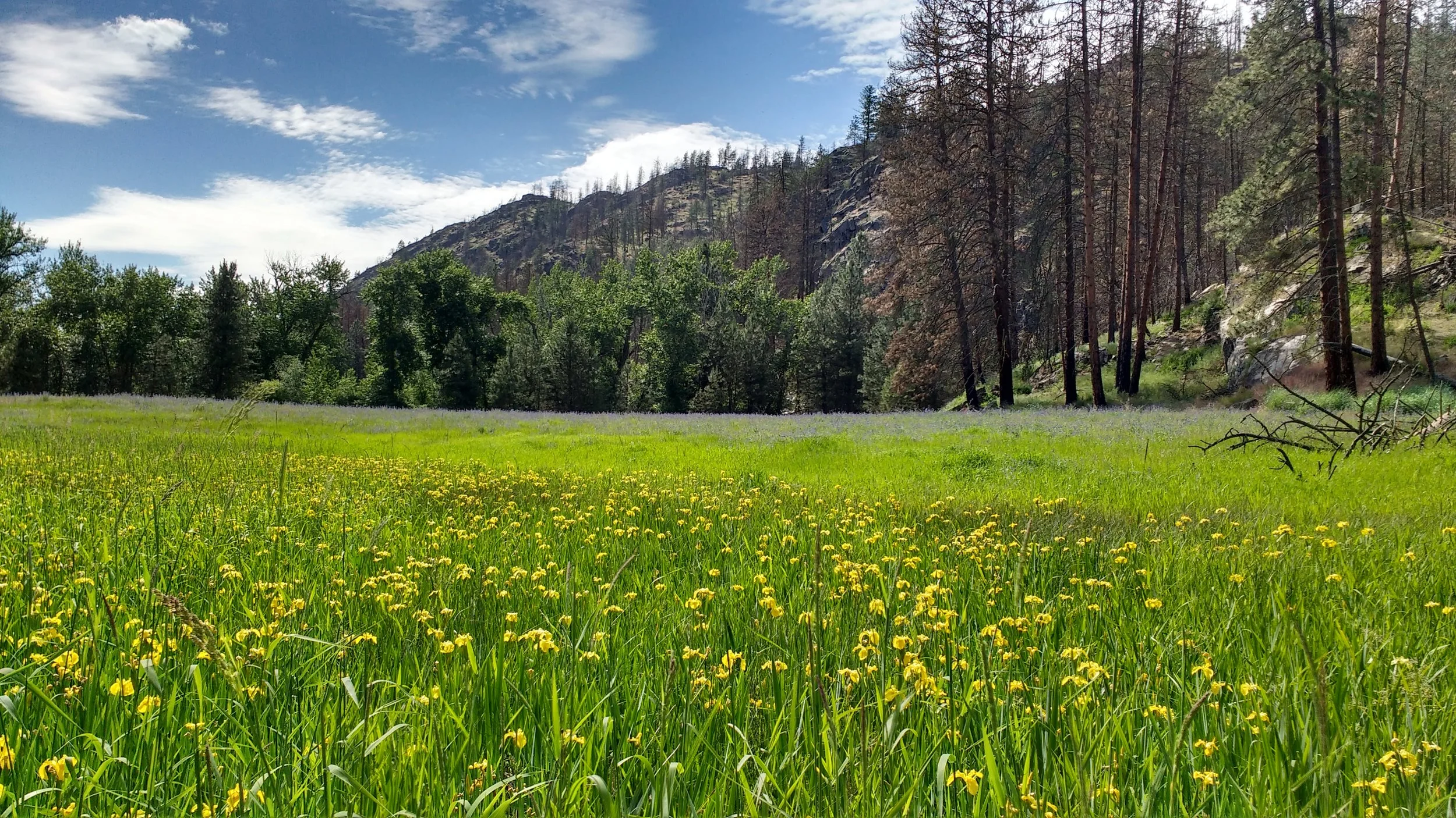 IMG_20180602_154431155_HDR.jpg
