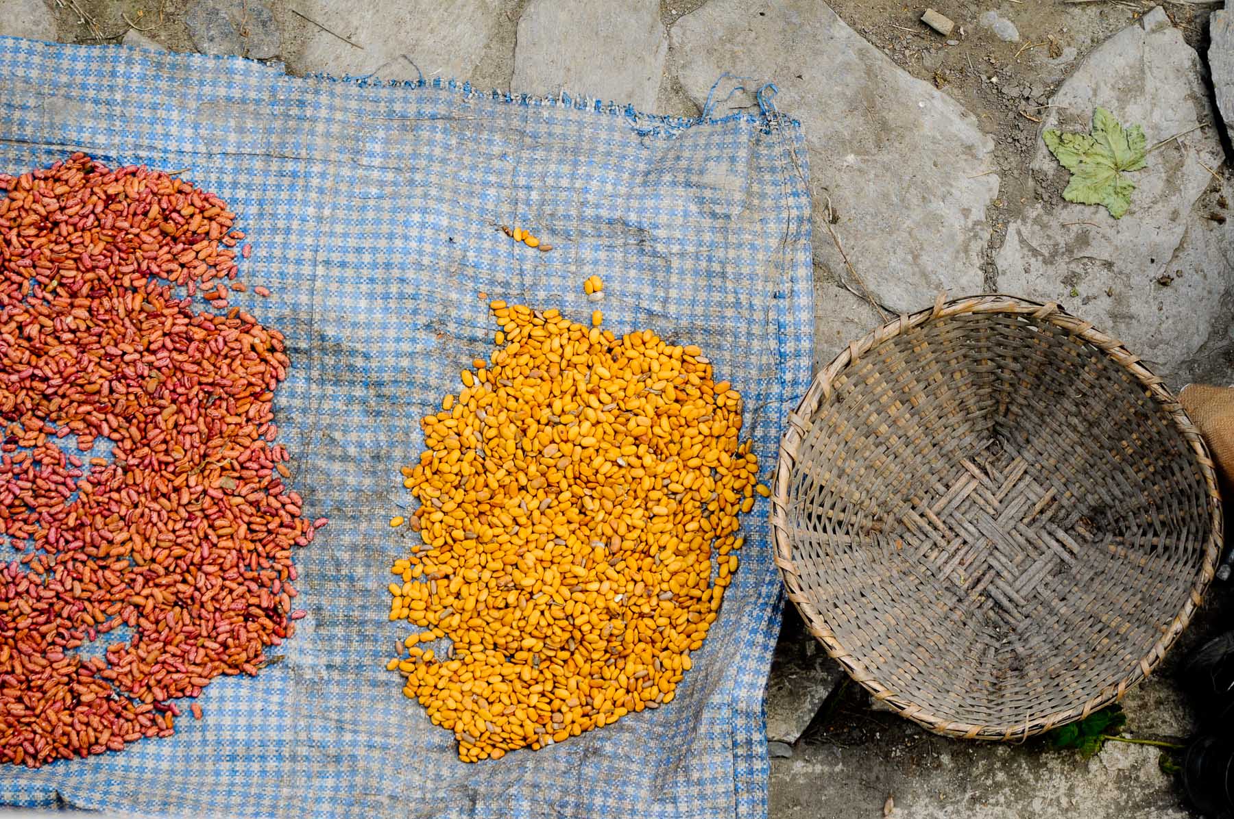S-Nepal_Portfolio_MINARD-11.jpg