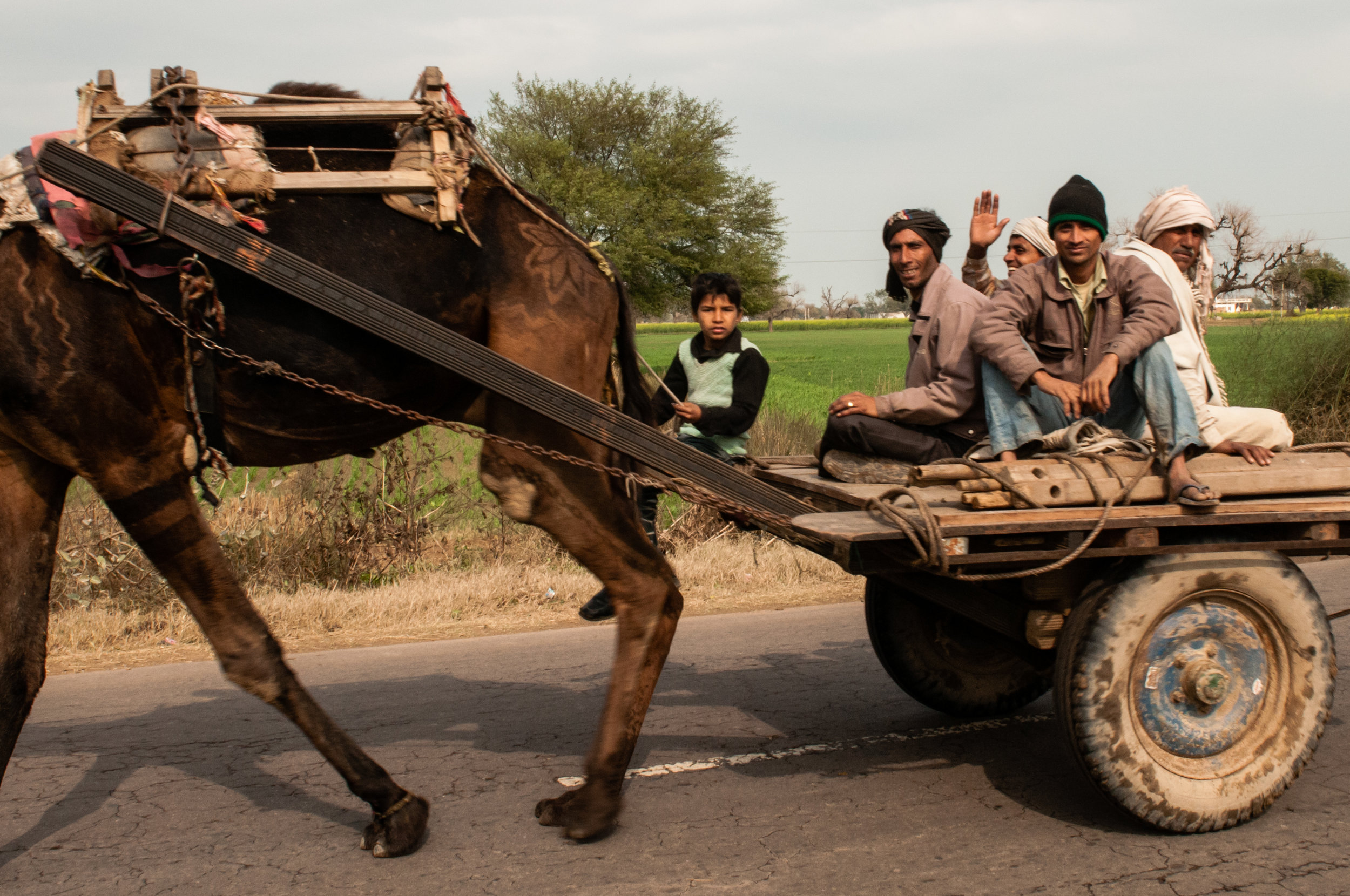 Photographs_India_Mick Minard_Website-50.jpg