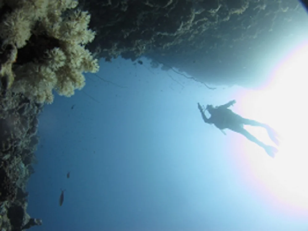 Snorkel Hire scuba diving Island Townsville