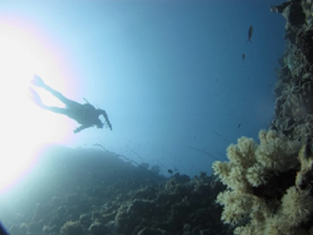 magnetic island.JPG