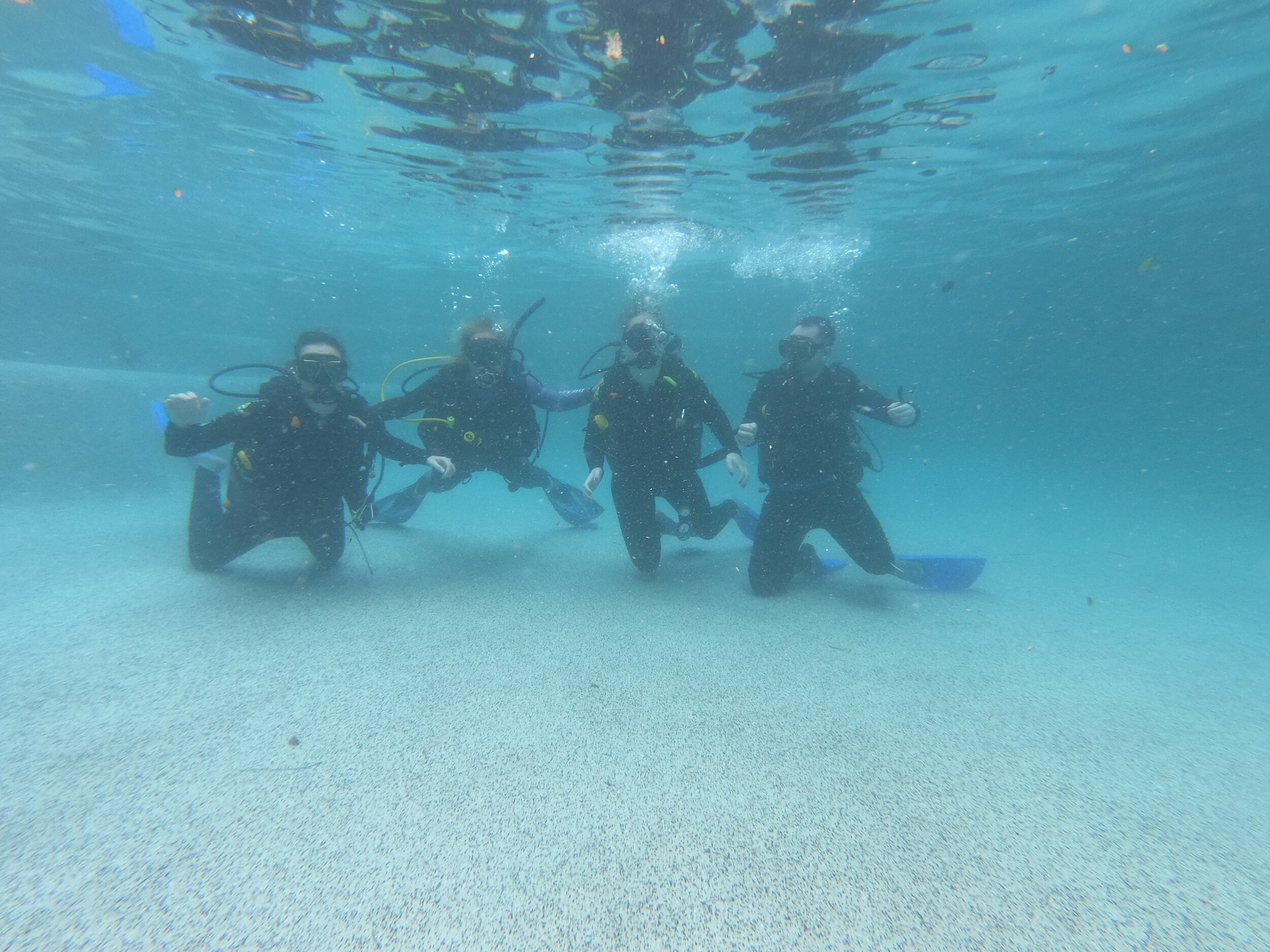 Magnetic island scuba diving snorekling snorkel hire queensland townsville great barrier reef.JPG
