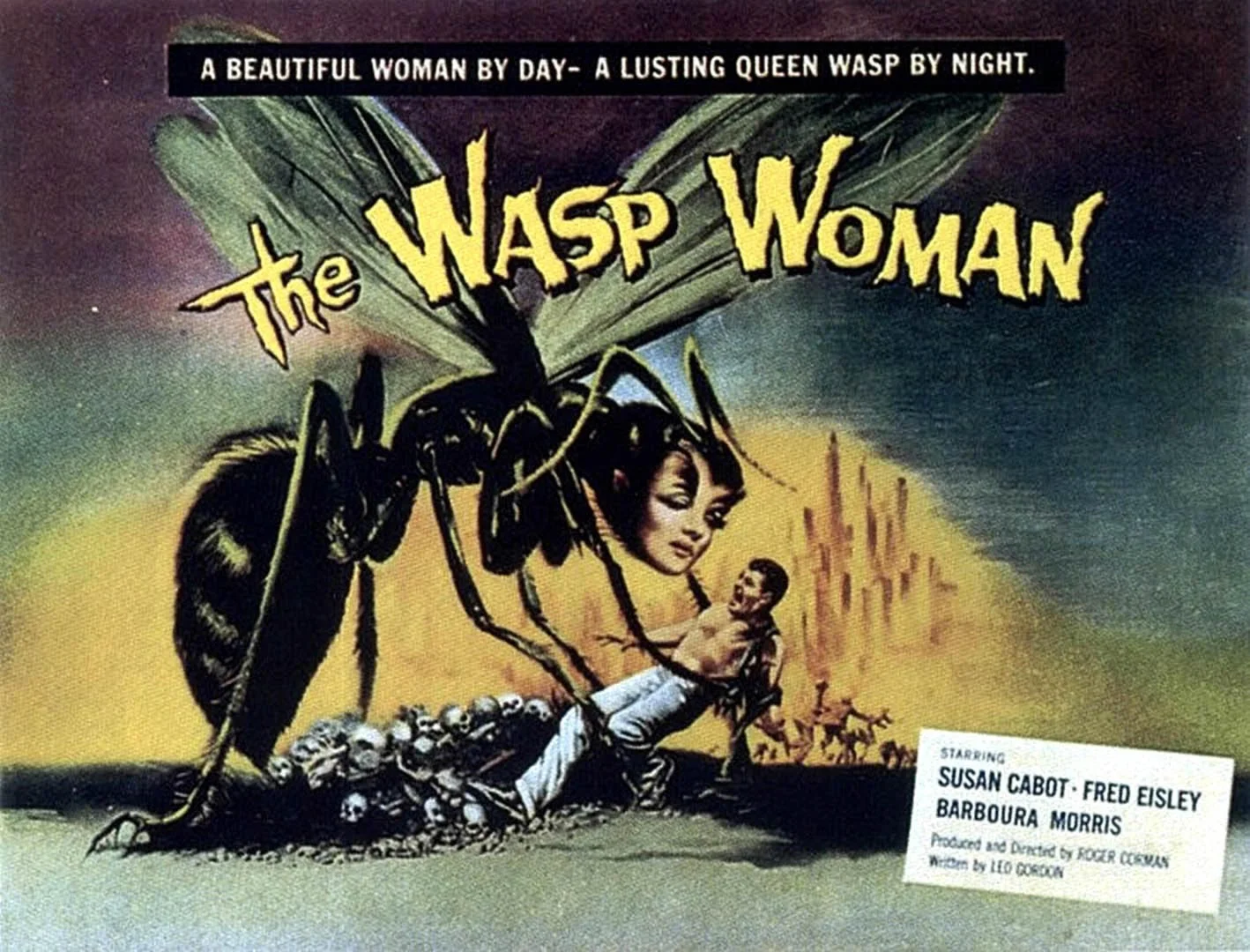 They Read from a Script Episode 5 : The Wasp Woman
