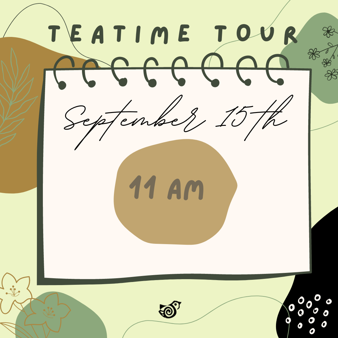 Teatime Tour 11am
