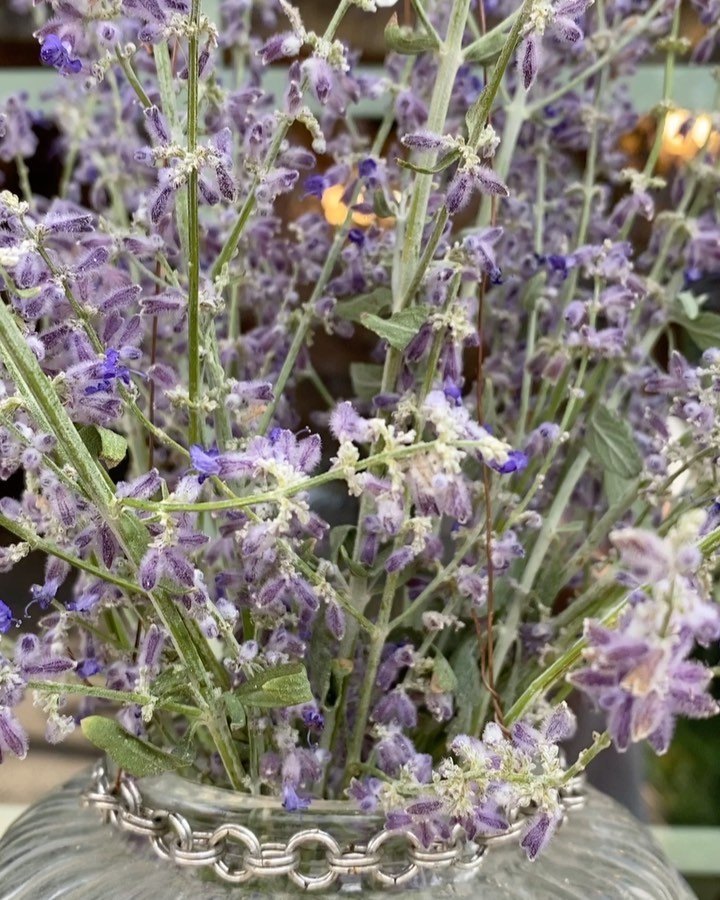 This is what happens when you send a creative to pull weeds&hellip;