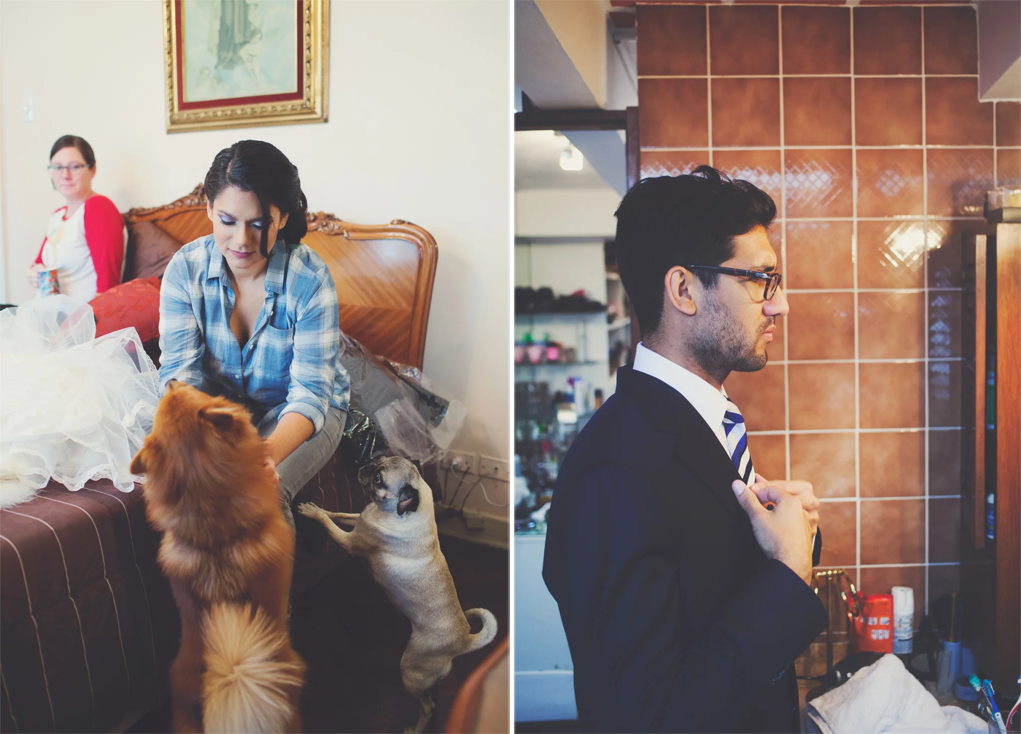 collagess8.jpg