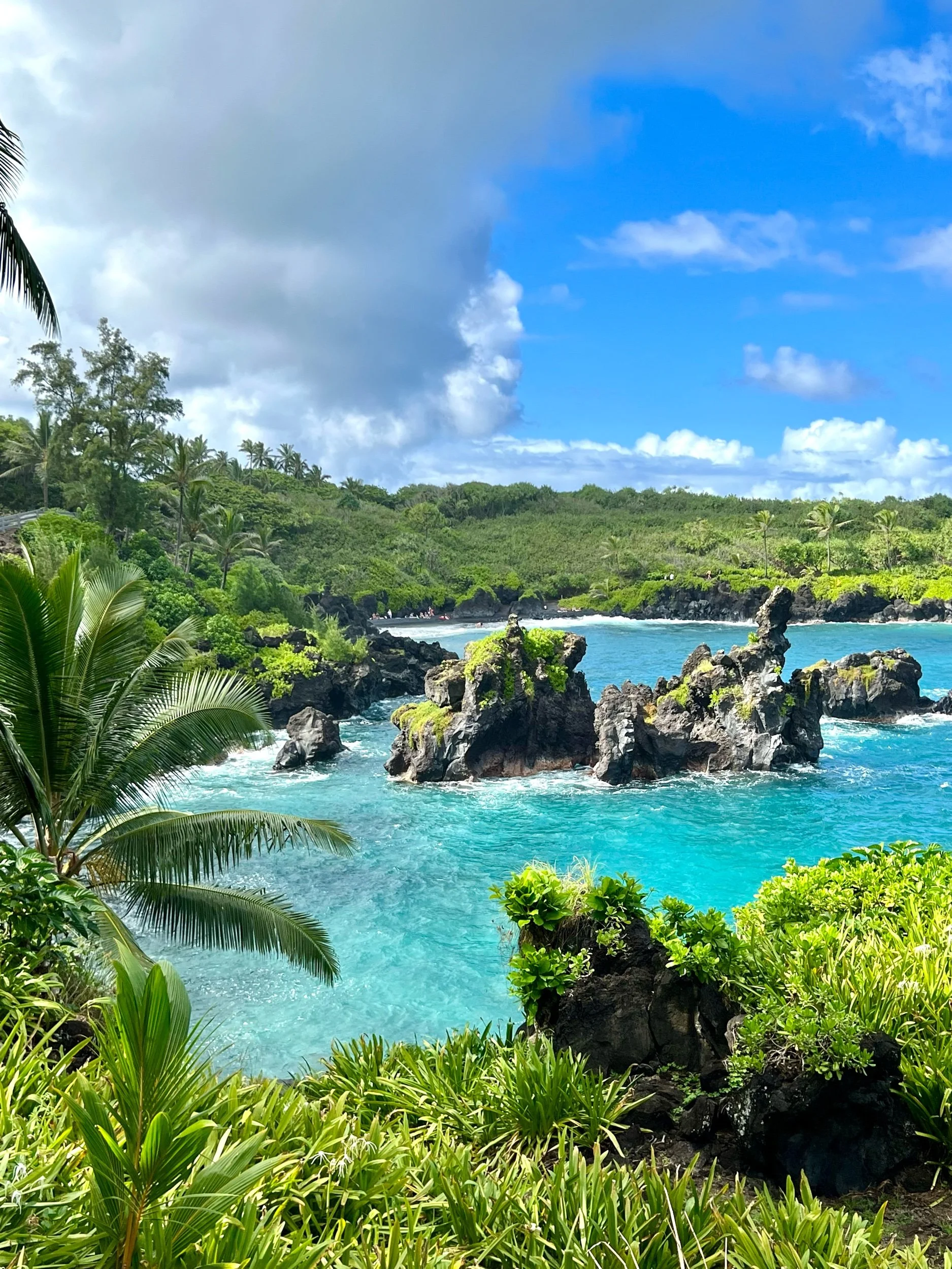 Maui Magic: A Week of Beaches, Bites, and Unforgettable Adventures