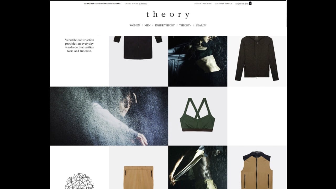 Theory+ Website