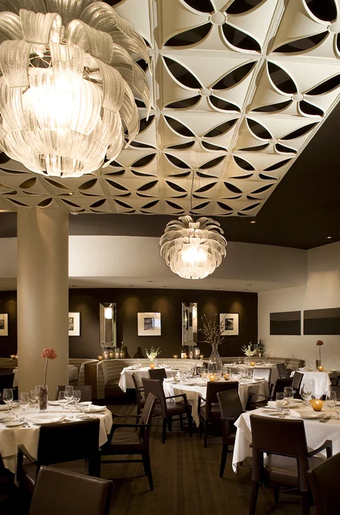 ceiling canopy.jpg