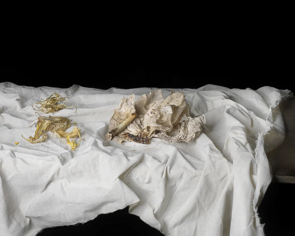 bones-on-paper.jpg