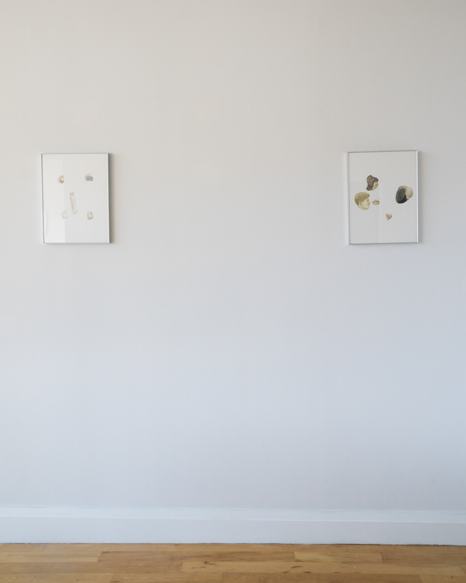 ZhaiL_Inst_5_PhotobyJessieYang.jpg