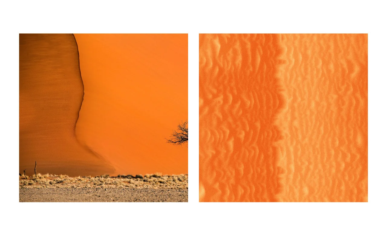 Nature and Algorithm - Day 052 , archival print on Epson Ultra-smooth fine art paper, 5 x 7 in., 2016