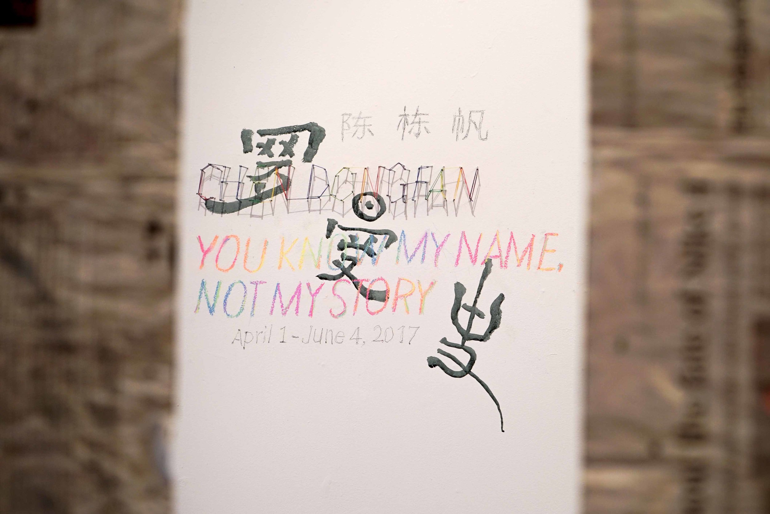Chen Dongfan: You Know My Name, Not My Story Installation View