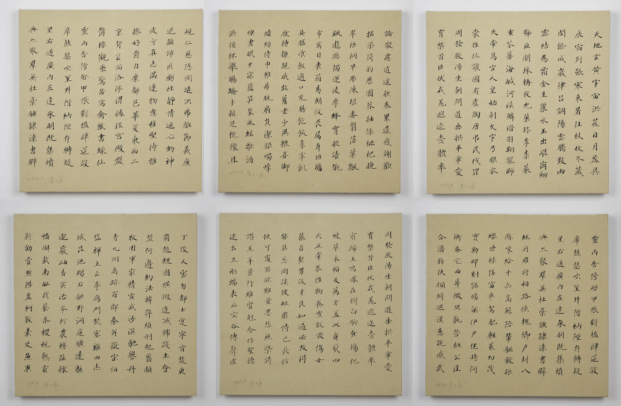 Wei Jia, No. 18222 , 2018. Ink mounted on canvas and backed with wood board, 6 works, each 16 x 16 inch ©Wei Jia, courtesy Fou Gallery 韦佳, No. 18222 ,2018. 纸上水墨,六幅,每幅40.64 x 40.64 cm ©韦佳,致谢否画廊