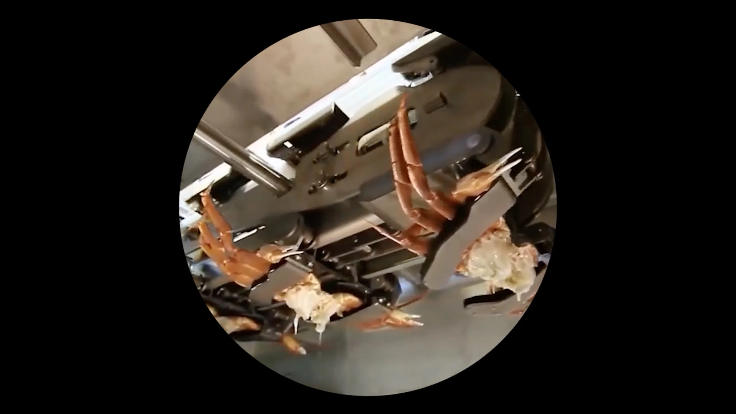 Jing Lin, Machinetopia , 2018. Loop video, Edition of 5 + 1 AP. ©Jing Lin, courtesy Fou Gallery | 林璟, 机器托帮, 2018. 循环视频,版数:5 + 1 AP. ©林璟,致谢否画廊