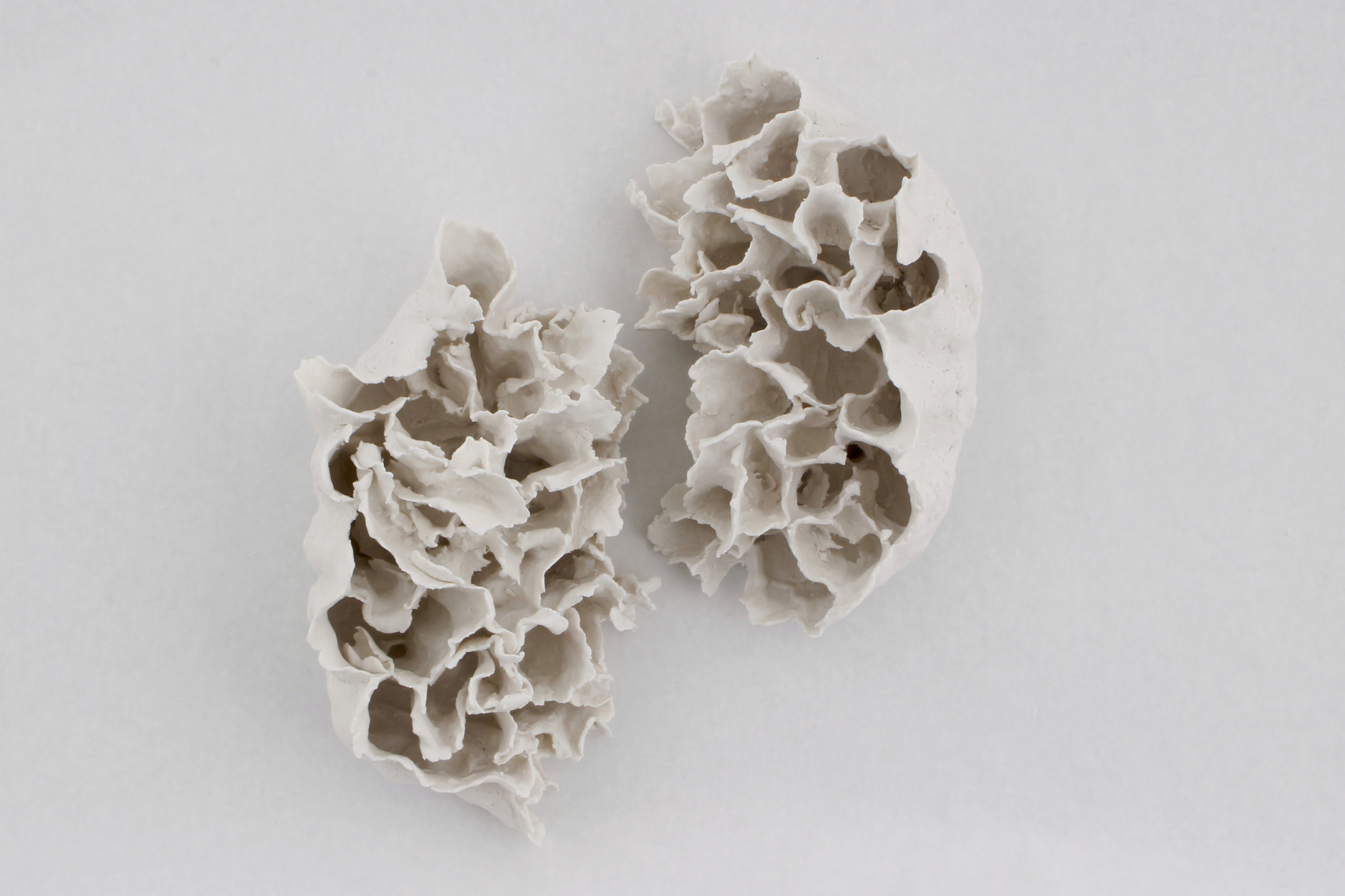  Renqian Yang , Clustered Light , 2018. Paper clay, fire to cone 6, electric kiln, 11 x 7 x 5 inches each © Renqian Yang, courtesy Fou Gallery   