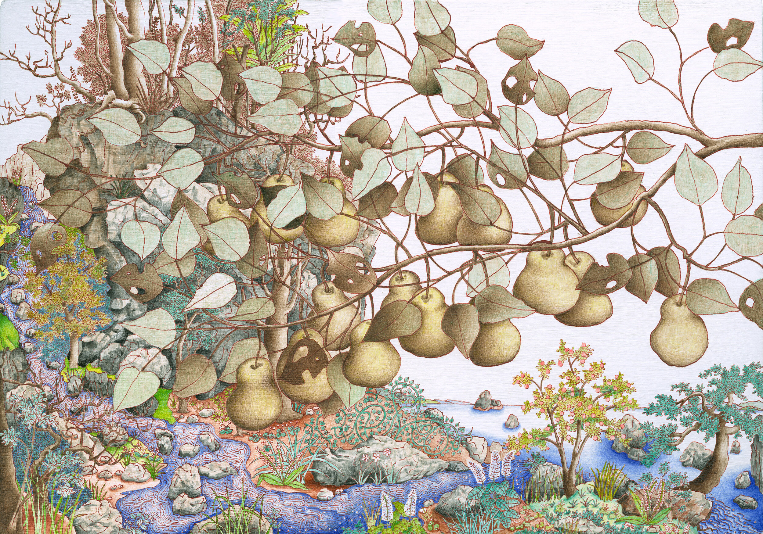 Micheal Eade.  Wild Pear Branch 野梨枝， Egg tempera on wood panels, 14 x 20 in. (35.6 x 50.8 cm), 2017. 