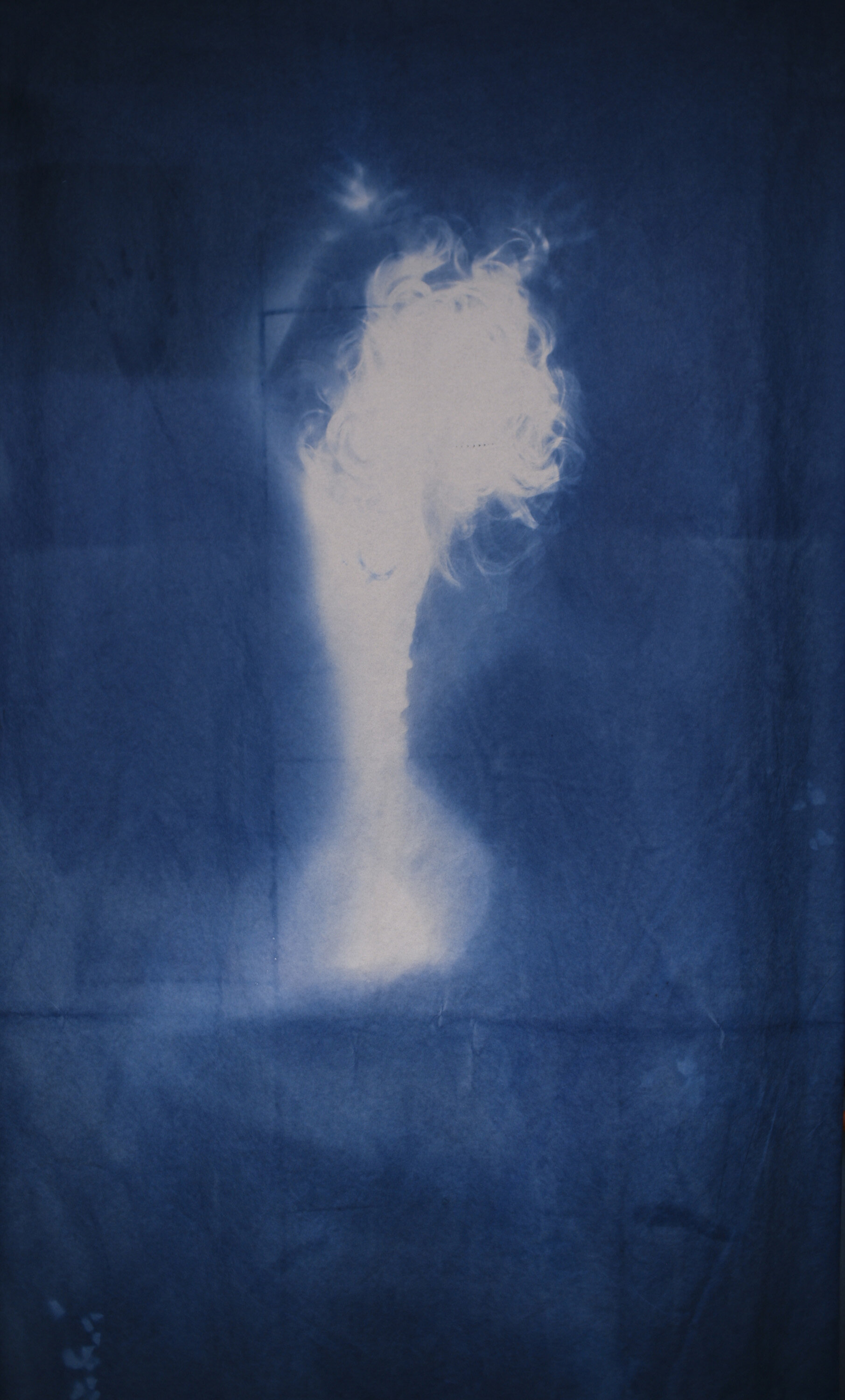  Han Qin,  Ethereal Evolving 2 , 2018. Cyanotype on paper, 82 x 47 inches ©Han Qin, courtesy Fou Gallery 