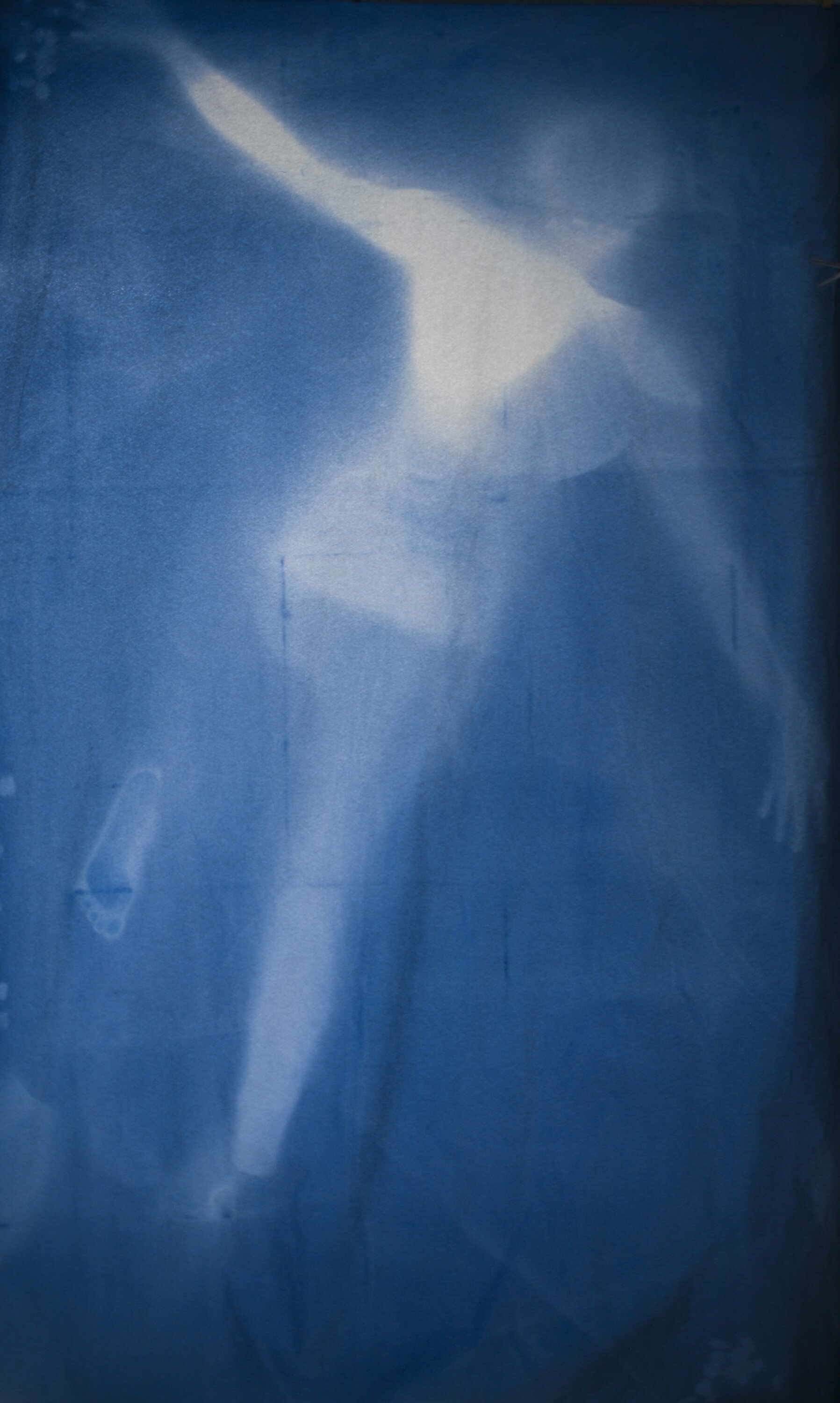  Han Qin,  Ethereal Evolving 4 , 2018. Cyanotype on paper, 82 x 47 inches ©Han Qin, courtesy Fou Gallery 