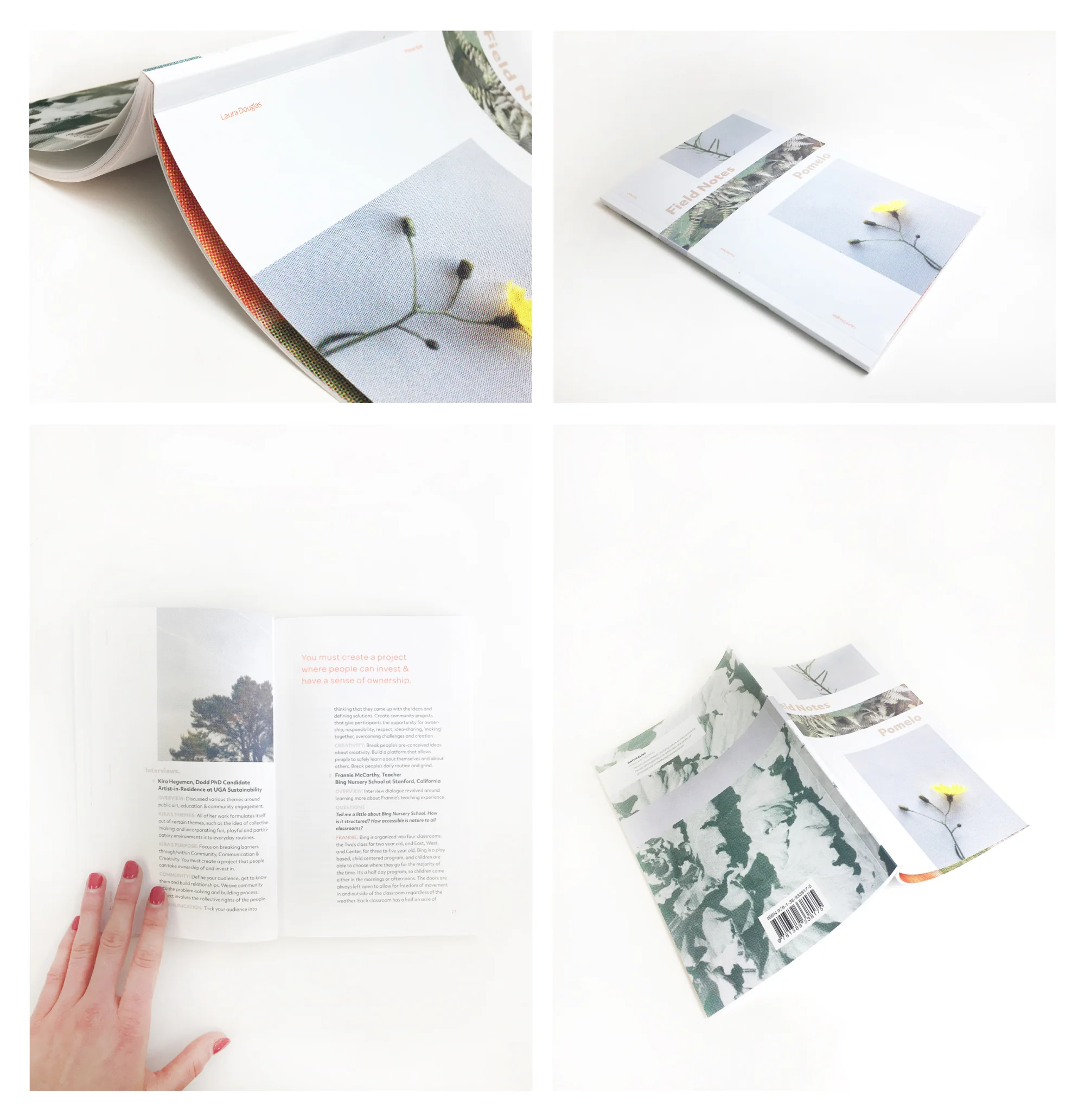 Pomelo_pages.jpg