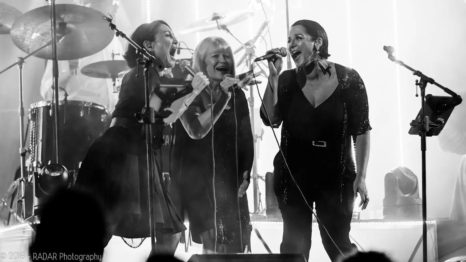 New Year's Eve at the SoundShell, Napier. Photo by RADAR Photography.