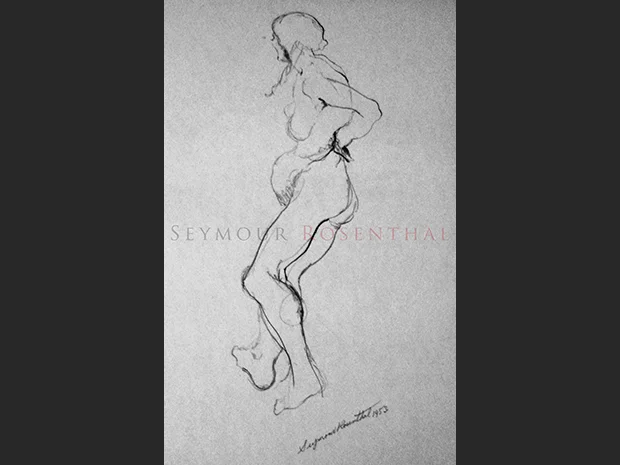 Female Anatomy