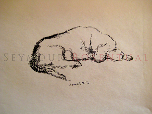 Study of Dogs