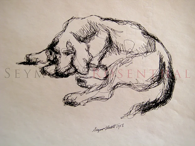 Study of Dogs