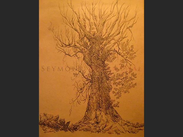 Study of a Tree 1961 I